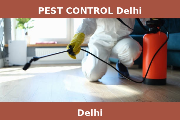 PEST CONTROL Delhi